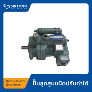 ปั๊มลูกสูบชนิดปรับค่าได้